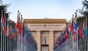 ONU promueve una cultura de paz como símbolo de esperanza colectiva