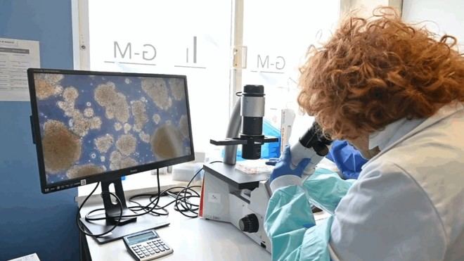 La sanidad pública de Madrid participa en la Semana de la Ciencia con más de 80 actividades educativas