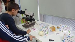 La Semana de la Ciencia de la Universidad de Oviedo celebra su 25 aniversario con un extenso programa de actividades