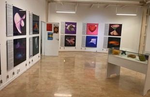 Congreso de la Real Sociedad Matemática Española en la Universidad de Alicante del 19 al 23 de enero