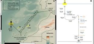 Investigación sobre el impacto del calentamiento global en el Atlántico Noreste