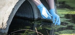 La UCA lidera un proyecto europeo para combatir contaminantes en ríos del suroeste de Europa