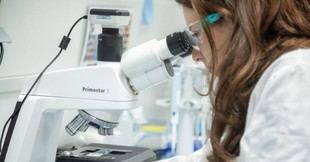 La UCAM se posiciona entre las mejores en transferencia de conocimiento y globalización educativa