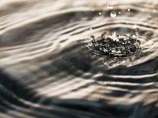 Investigadores de la UdG desarrollan un nuevo método para eliminar contaminantes del agua