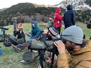 La UdG lanza un postgrado pionero para gestionar la convivencia con grandes carnívoros en Europa
