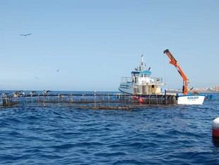 La UdG se une al proyecto europeo Sea4Future para fomentar la pesca sostenible en el Mediterráneo