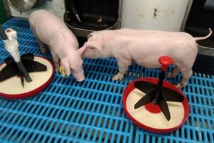 La UdL recibe 190.000€ para proyectos de investigación aplicada