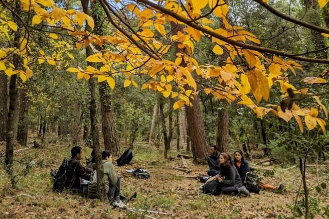 La UdL se une a la iniciativa Junts pels boscos