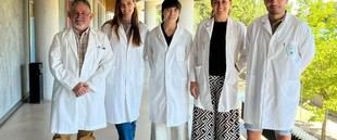 Investigación de la UEx busca alternativas a antibióticos en yeguas con endometritis