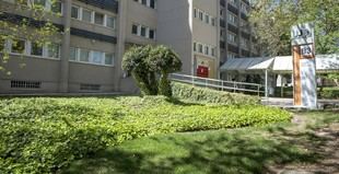 La UJA avanza en sostenibilidad y se posiciona 407 a nivel mundial según el ranking UI GreenMetric 2025