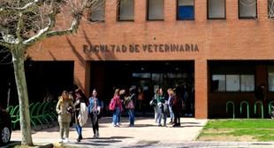 La ULE celebra el IV curso práctico sobre esferoides y organoides esta semana