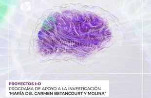 La ULL obtiene más de 1,25 millones de euros para ocho proyectos de investigación aplicada en Canarias
