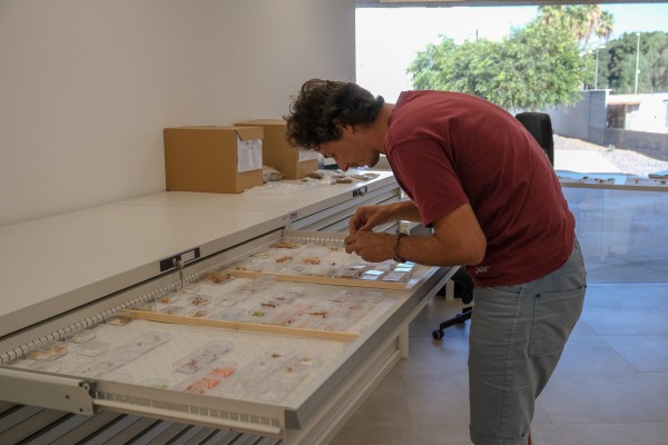 Inauguran en la ULPGC el laboratorio de arqueología más destacado de Canarias