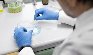 Seminarios sobre terapias génicas para pacientes y personal sanitario