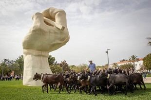 La Universidad de Alicante organiza una jornada sobre la trashumancia