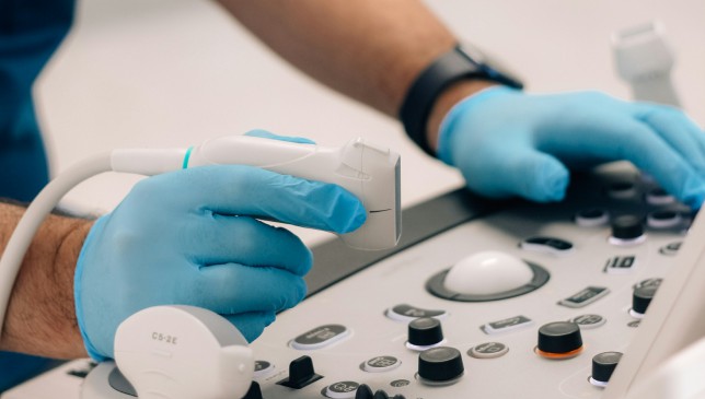 Universidad de Alicante y IVF-Life crean un portal sobre medicina reproductiva y fertilidad