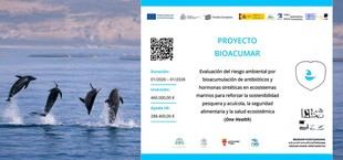 La UCA lanza el Proyecto BIOACUMAR para evaluar contaminantes en ecosistemas marinos
