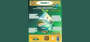 La Universidad de Cádiz promueve un desafío para concienciar sobre los humedales costeros