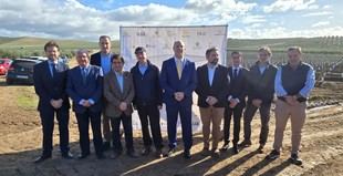 Universidad de Jaén impulsa un proyecto internacional para modernizar la olivicultura con nuevas variedades de olivo