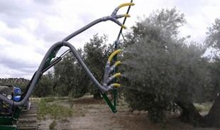 Universidad de Jaén crea un pulverizador que minimiza la pérdida de fitosanitarios en el olivar
