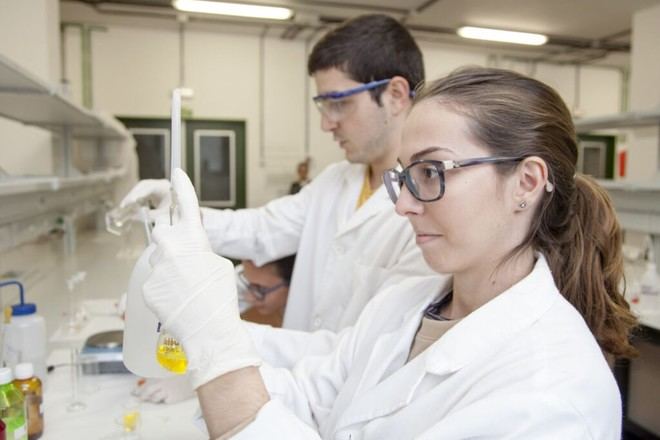 Convocatoria de 41 contratos predoctorales en la Universidad de La Laguna