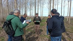 Universidad de León promueve alianza para la conservación del chopo y sus recursos genéticos