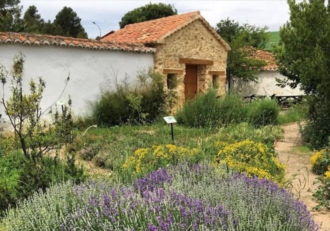 Jornada sobre biodiversidad botánica en Aras de los Olmos con la Universitat de València