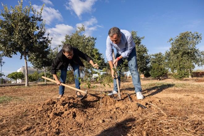La Universitat Jaume I incrementa la biodiversidad en su campus por el décimo aniversario de la Agenda 2030