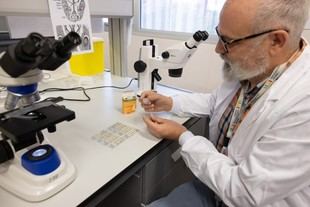 La Universitat Jaume I y Semicrol impulsan la reutilización de muestras biológicas en investigación científica