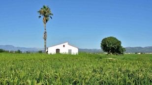 La UOC apoya la Declaración sobre el futuro de las zonas rurales en la UE