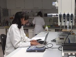 La UPC destaca como la mejor universidad del Estado en seis disciplinas según el ranking global 2025-2026