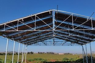 UPCT desarrolla una estructura agrovoltaica que produce alimentos y energía limpia simultáneamente