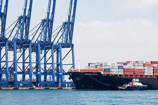 La UPM colabora con el Puerto de Algeciras en su adaptación al cambio climático