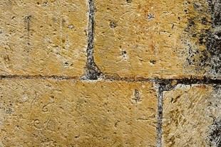 La URJC investiga grafitos históricos en Madrid