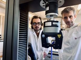URV impulsa proyecto de caucho sostenible a partir de guayule