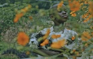La Universidad de Sevilla lanza un laboratorio para difundir el mayor fondo fílmico sobre cine africano en español
