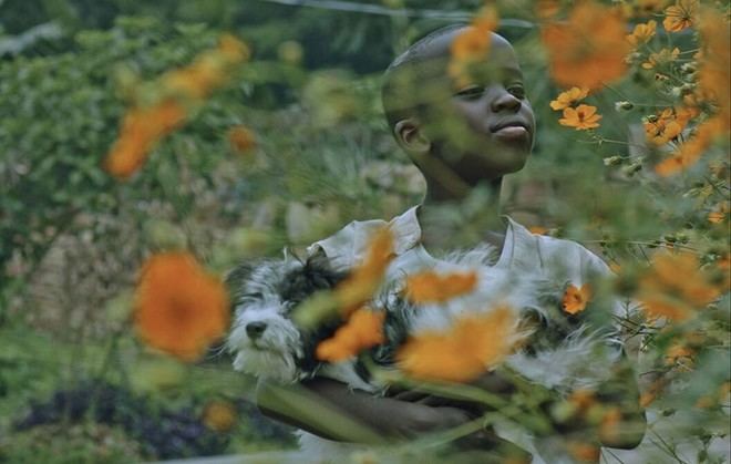 La Universidad de Sevilla lanza un laboratorio para difundir el mayor fondo fílmico sobre cine africano en español