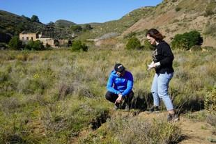 Recuperación de la Sierra Minera con un proyecto europeo de 4,5 millones para suelos contaminados