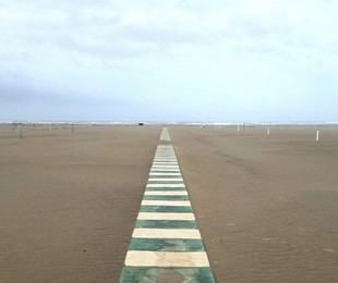 Exposición de Silvia Chiara Lucchesini en el Museo de la Grafica sobre naturaleza y surrealismo