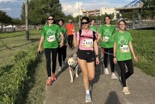 Celebración del décimo aniversario de Veterinaria con un paseo de mascotas