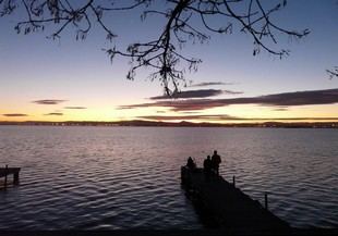 Jornadas sobre L'Albufera presentan propuestas para mejorar la calidad del agua y conservar hábitats
