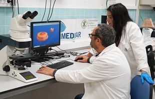 Medusas: de problema a oportunidad en biotecnología azul