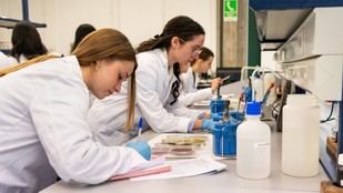 Aumento de mujeres en carreras STEM en España