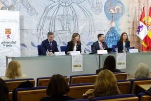 Universidades españolas se reúnen en León para mejorar la empleabilidad de sus egresados