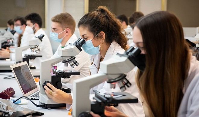 Aumento del 10,66% en universitarias andaluzas en titulaciones STEM desde 2018