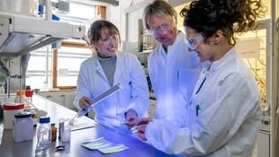 Desarrollan un material biológico que detecta la luz UV dañina