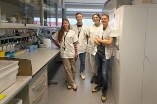 Descubren que moléculas contra el cáncer de colon pueden acelerar el cáncer de endometrio