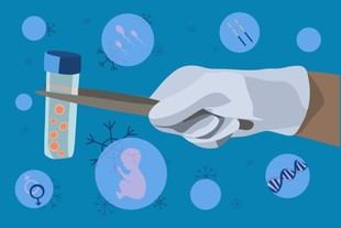 Solo el 2.5% de las mujeres en EE. UU. son aceptadas como donantes de óvulos, revela estudio de la Universidad de Manchester