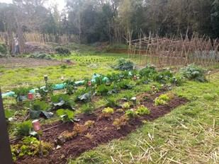 El Hort Ecosolidario de la UdG, finalista en los Premios al Voluntariado Universitario