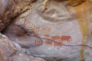 Estudio revela la riqueza de datos sobre migraciones antiguas en Liguria